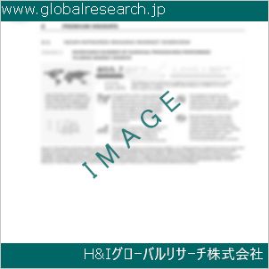 グローバルリサーチ調査資料のイメージ